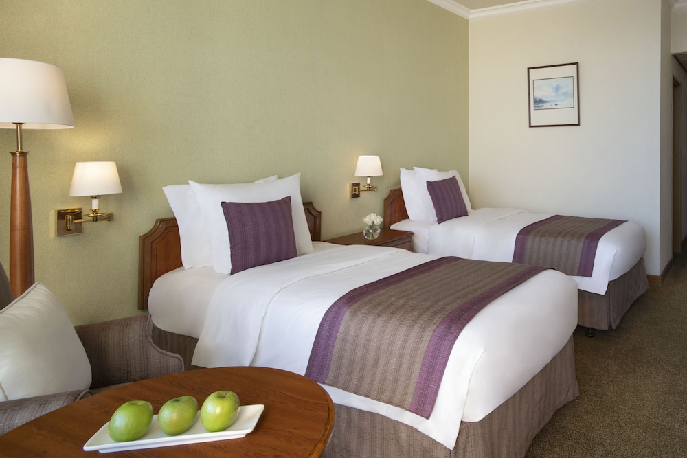 Standard Twin Room photo 2