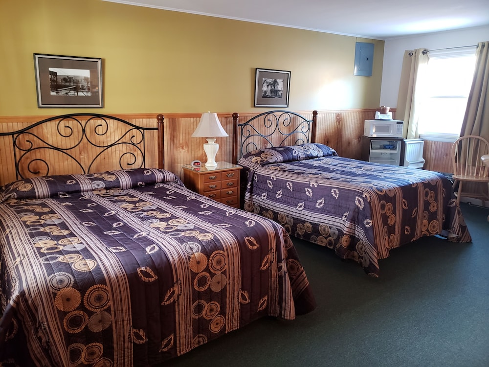 Basic Room, Multiple Beds, Pet Friendly