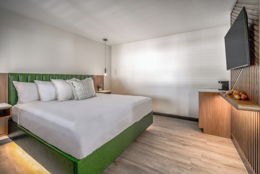 Exclusive Double Room, Multiple Beds, Non Smoking, Private Bathroom photo 3