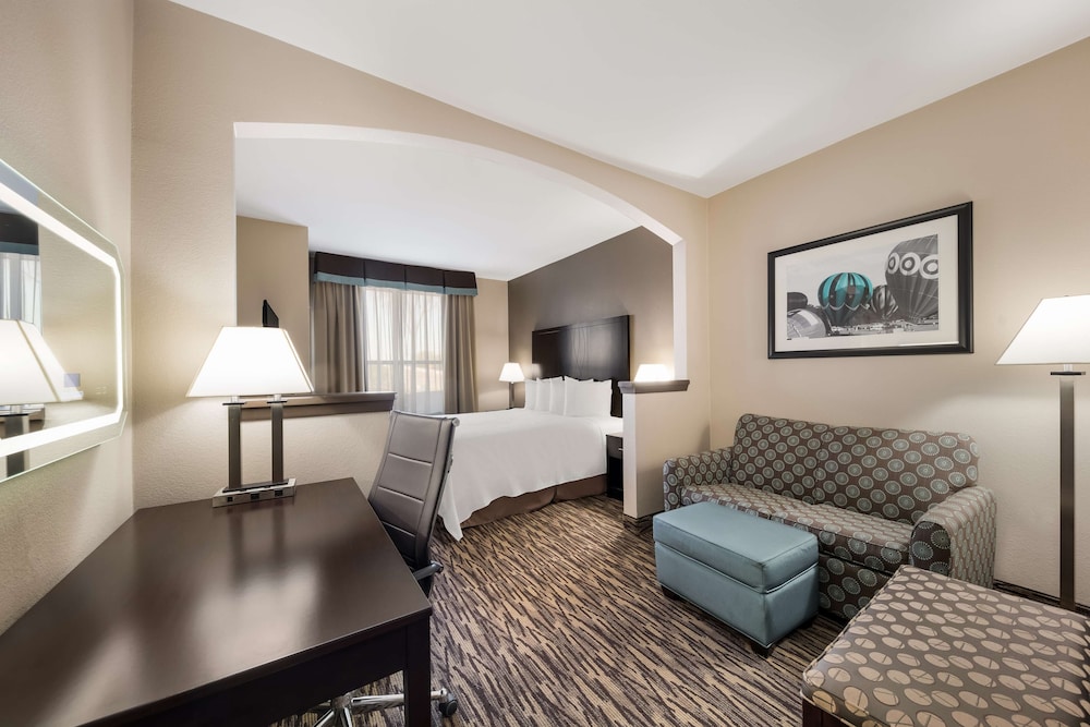 Standard Room, 1 King Bed, Accessible, Refrigerator & Microwave (with Sofabed) photo 1