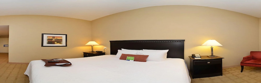 Room, 1 King Bed, Accessible, Non Smoking - Photo 2