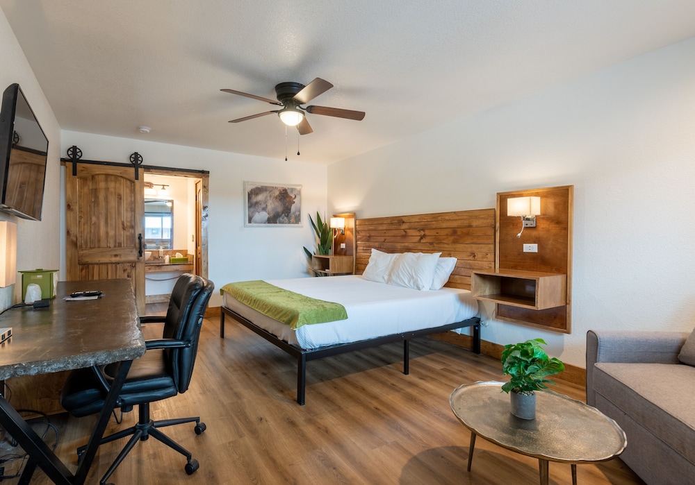 Deluxe Single Room, 1 King Bed photo 1