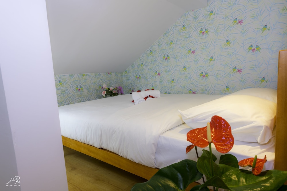 Basic Room, Shared Bathroom (102) photo 2