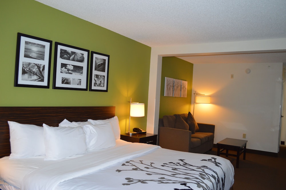 Business Room, 1 King Bed with Sofa bed, Accessible, Non Smoking photo 3