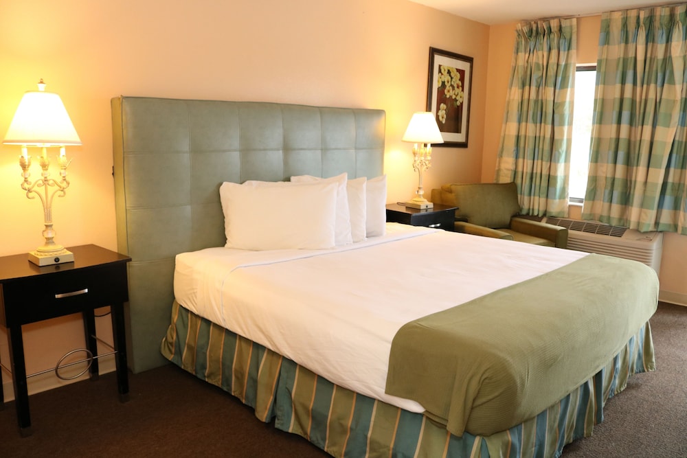 One King Bed, Non-Smoking photo 1