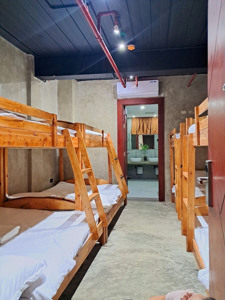 Shared Dormitory photo 3