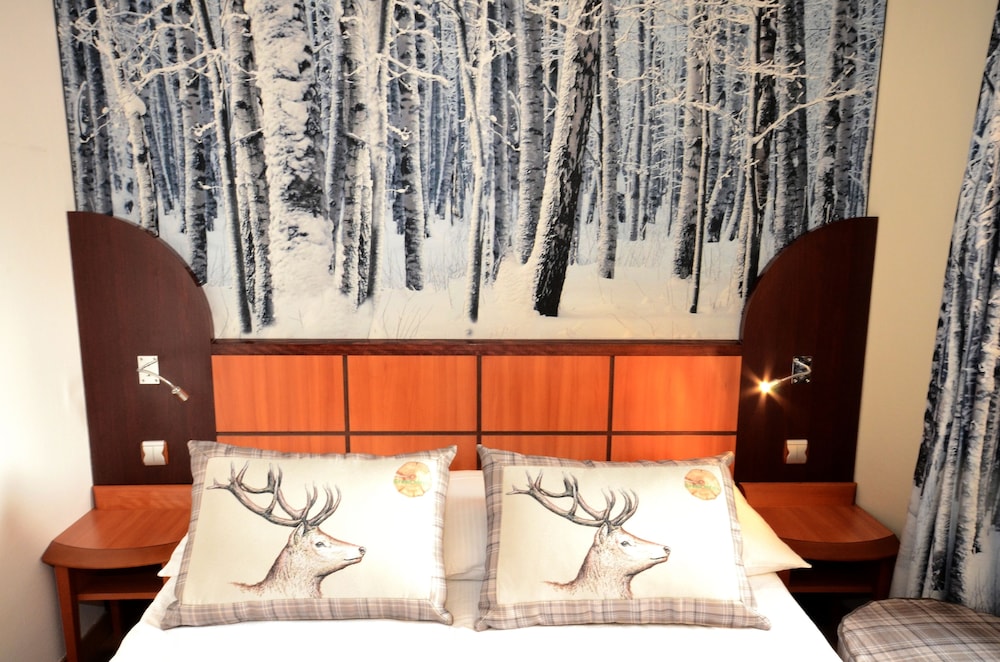 Classic Double or Twin Room photo 3