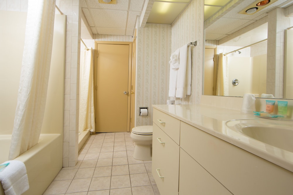 One Room Efficiency photo 2