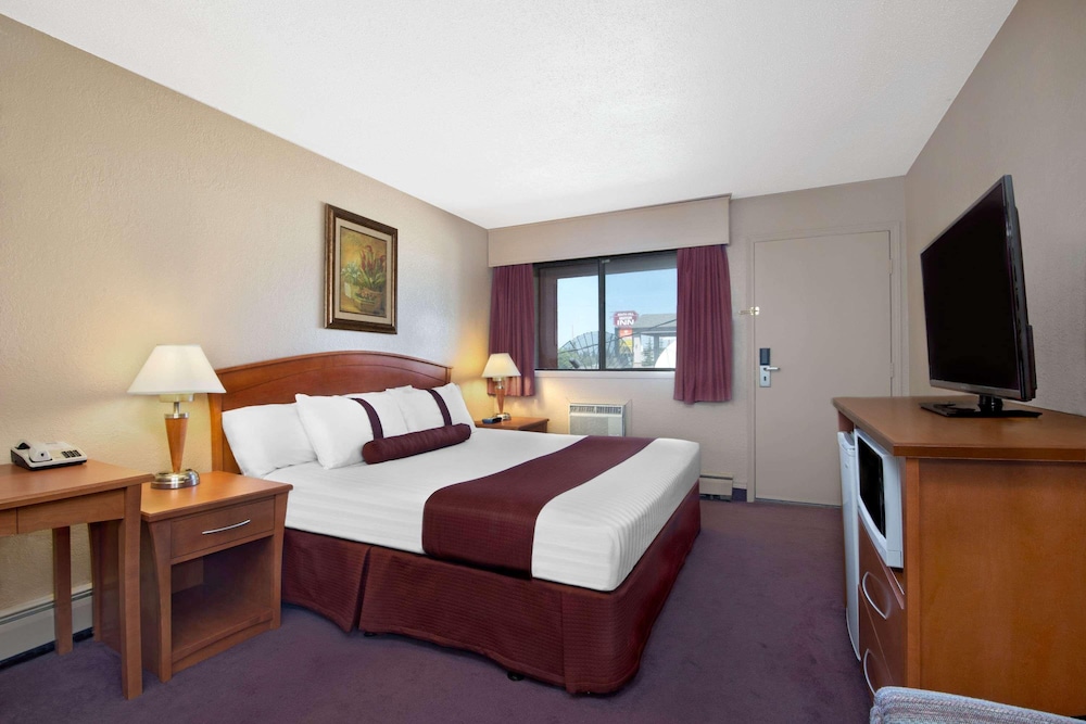 Deluxe Single Room, 1 Queen Bed photo 3