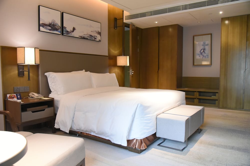Deluxe Suite, 1 King Bed photo 3