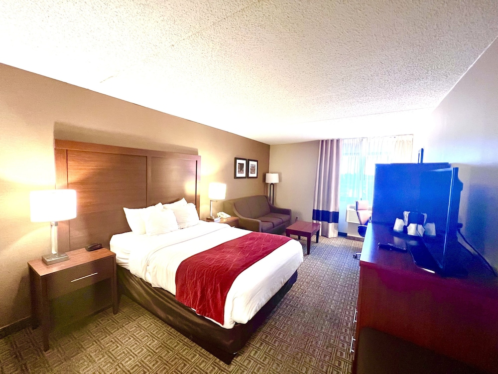 Room, 1 Double Bed With Sofa Bed, Non Smoking photo 3