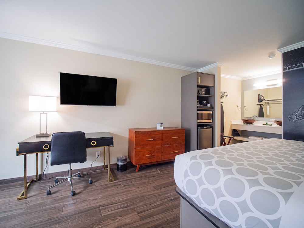 Standard Room, 1 King Bed - Photo 5