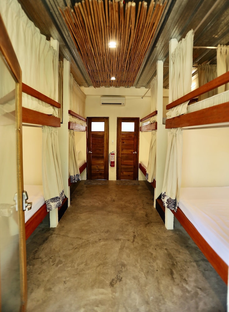 Deluxe Shared Dormitory, Mixed Dorm photo 1