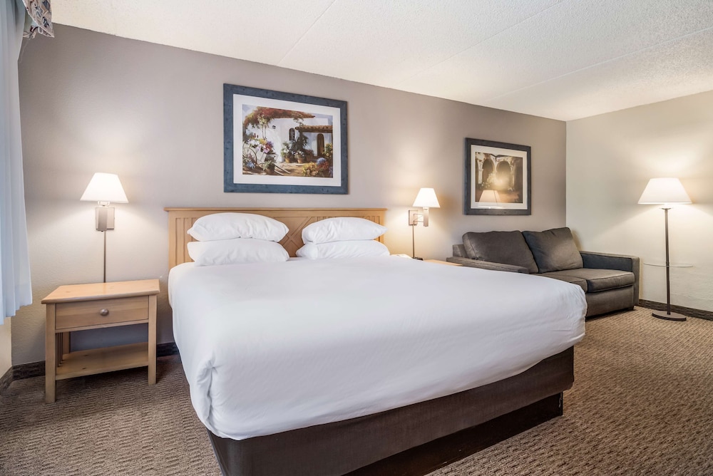 Executive Room, 1 King Bed, Accessible - Photo 3