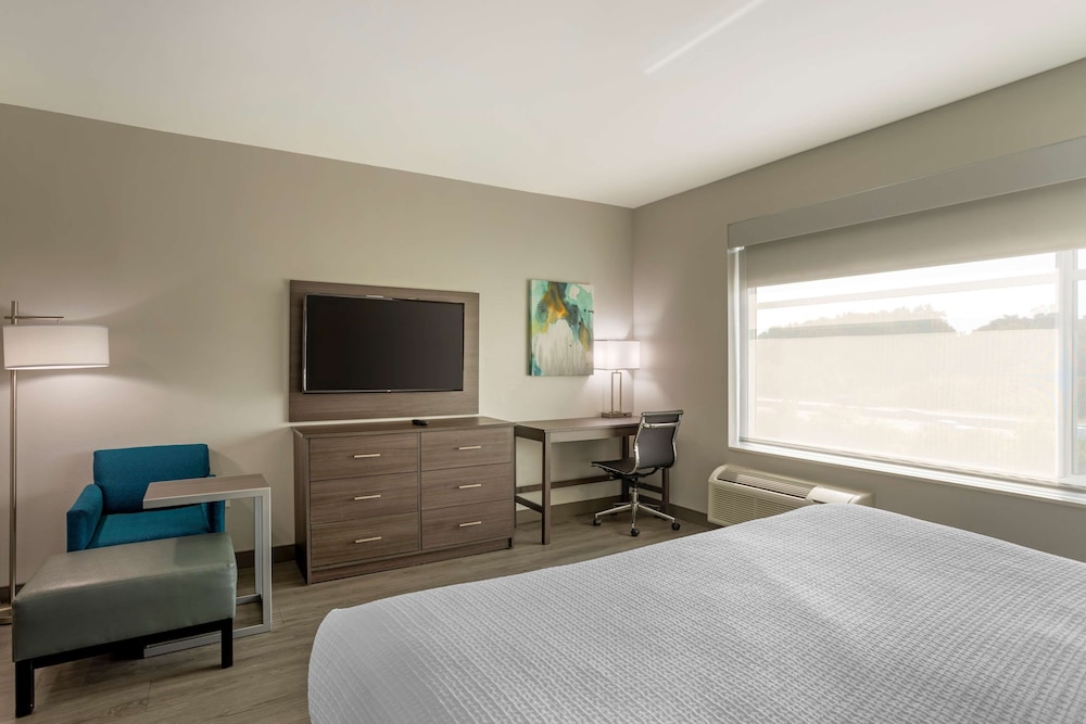 Standard Room, 1 King Bed, Non Smoking, Refrigerator & Microwave - Photo 2