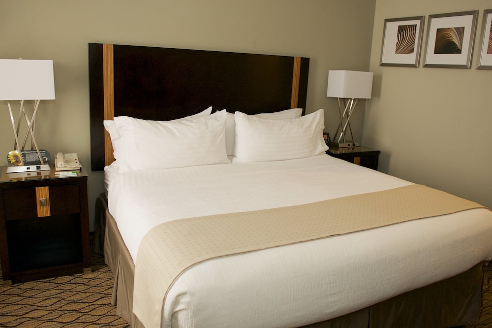Standard Room, 1 King Bed, Accessible (Communications, Mobility)