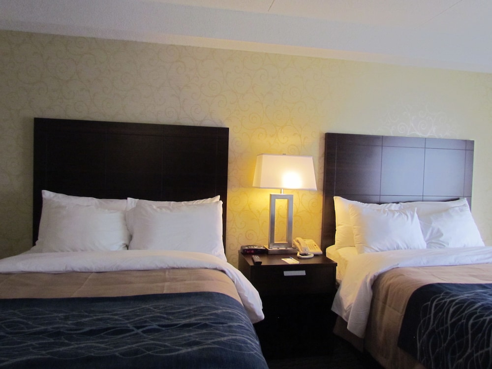 Comfort Care, Double Room, 2 Double Beds, Non Smoking - Photo 1