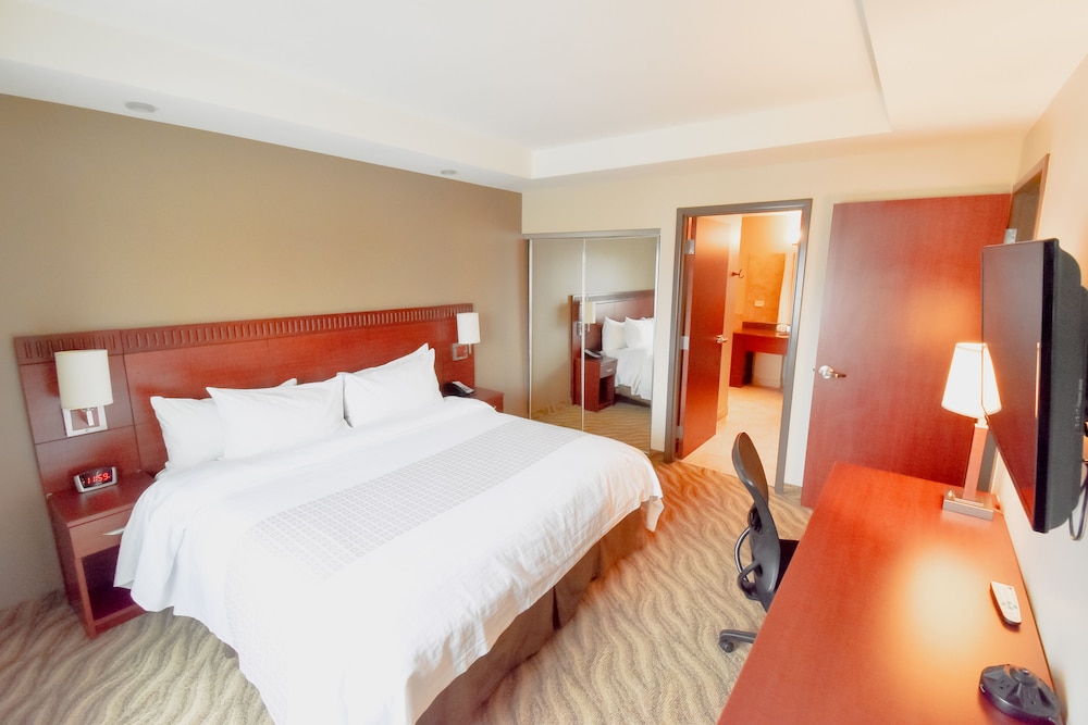 Executive Suite photo 2