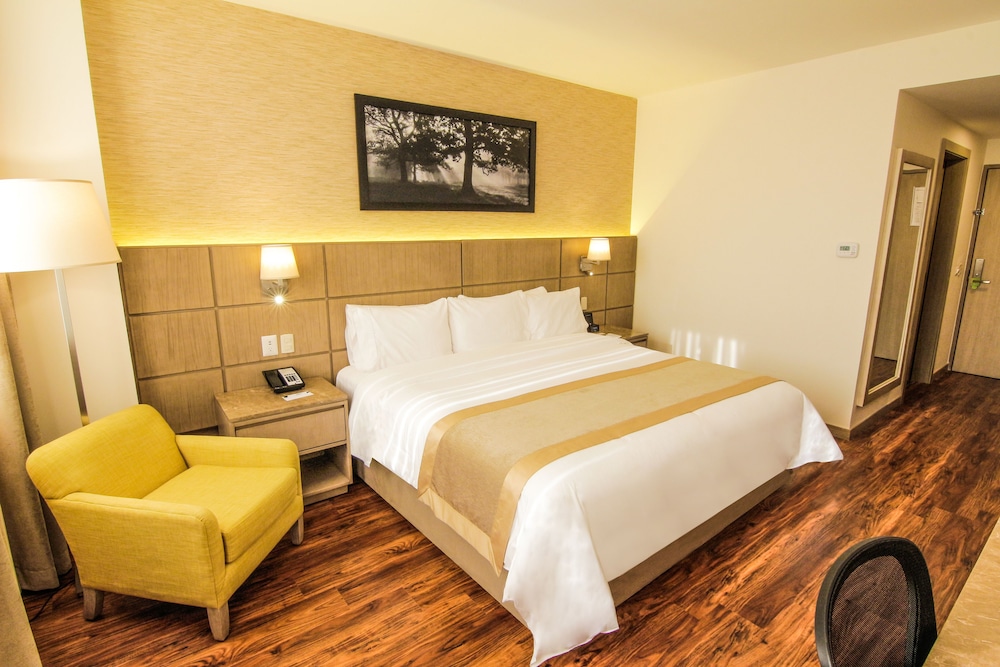 Room, 1 King Bed, Non Smoking photo 3