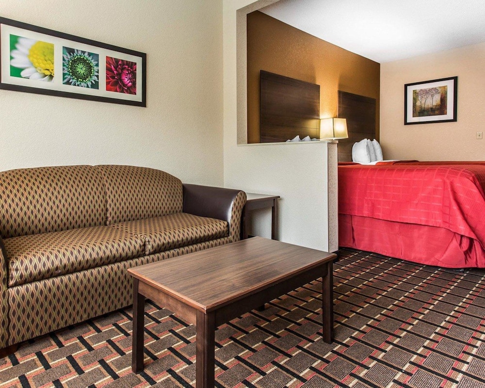 Suite, 1 King Bed with Sofa bed, Non Smoking - Photo 4