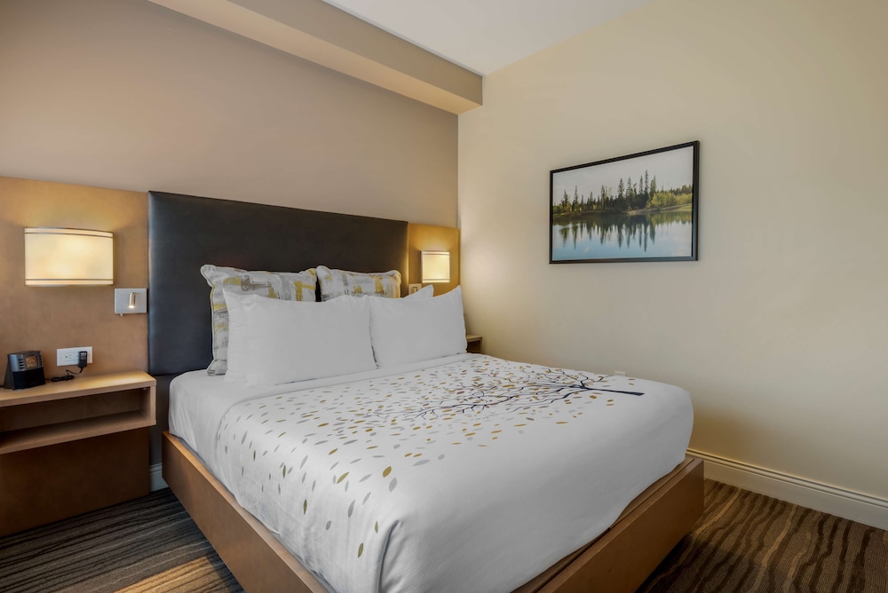 Suite, 1 Queen Bed, Non Smoking, Kitchenette (Shower Only) photo 1