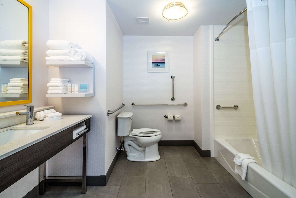 Room, 1 King Bed, Accessible, Bathtub