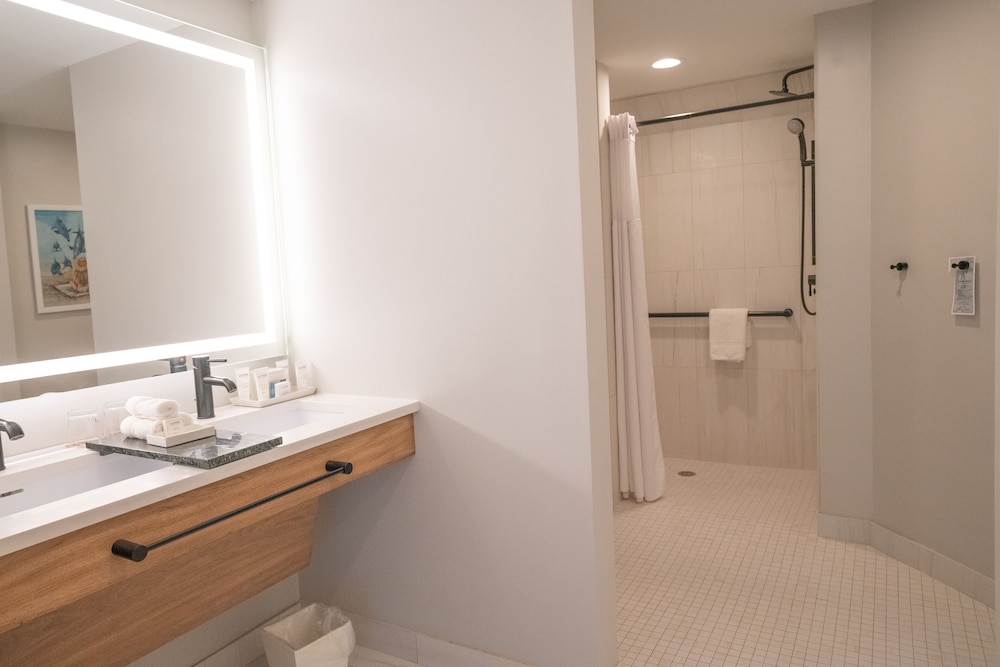 Room, 1 King Bed (Mobility & Roll-In Shower)