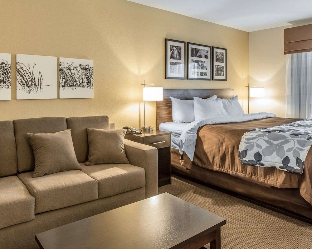 Suite, 1 King Bed, Accessible, Non Smoking photo 1