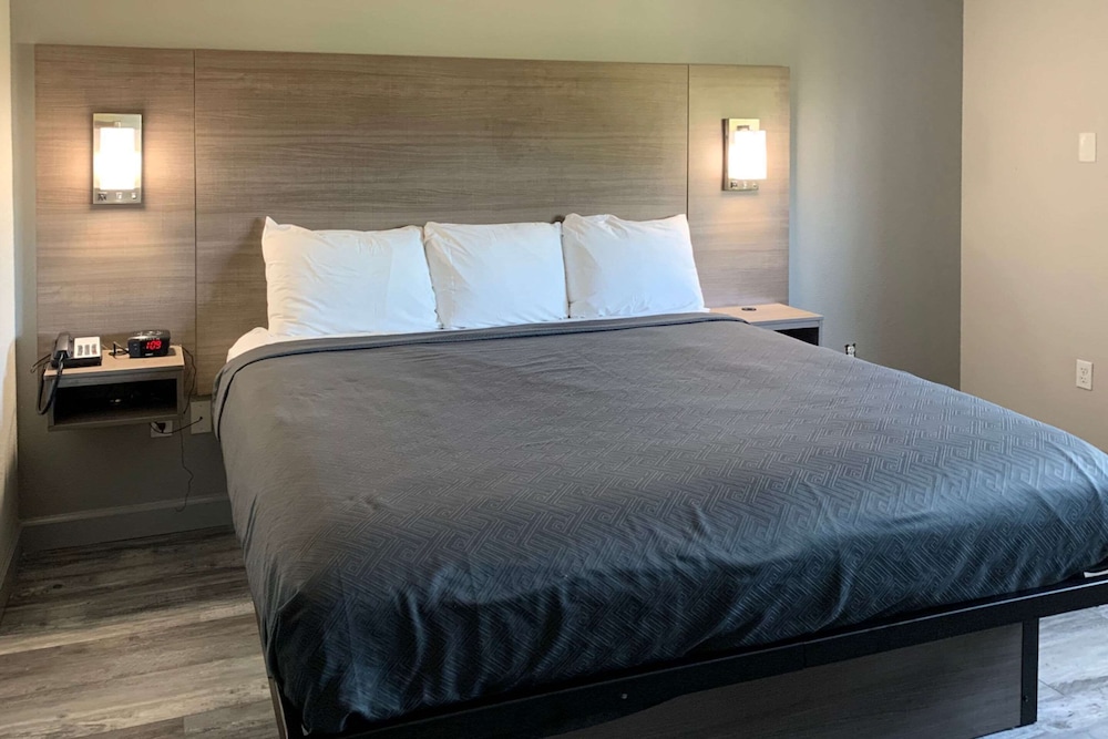 Suite, 1 King Bed, Non Smoking photo 2