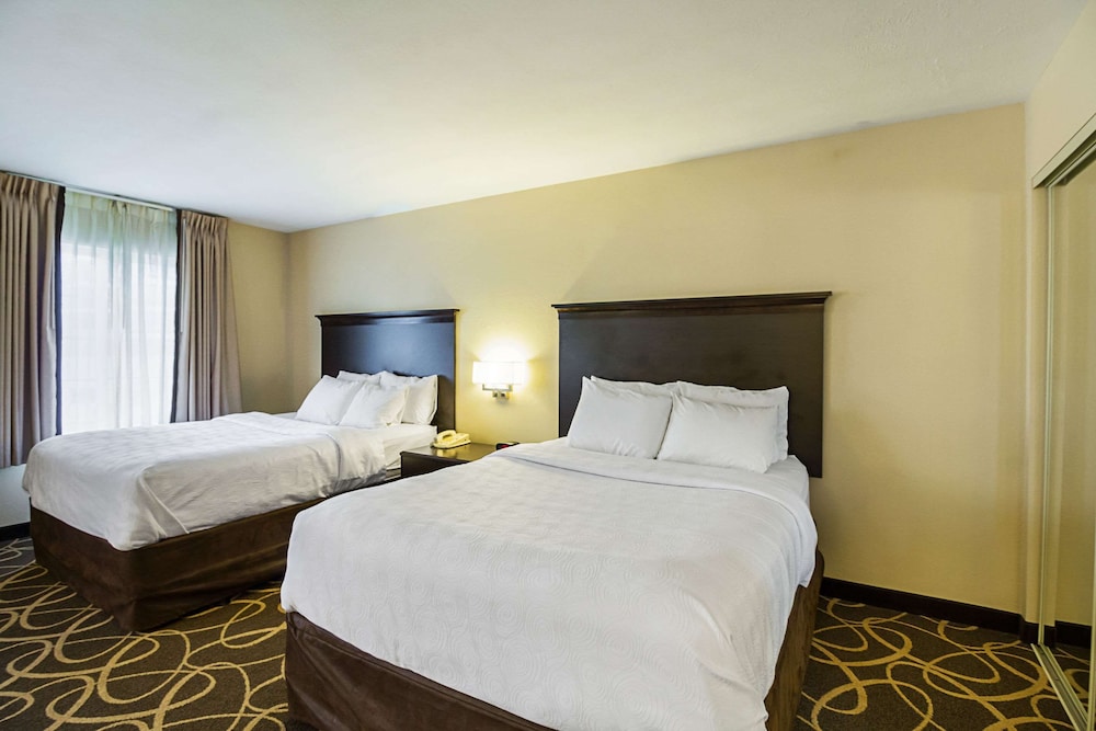 Executive Suite, 2 Queen Beds with Kitchen and Sofabed, Non Smoking (Extra Spacious!) photo 1