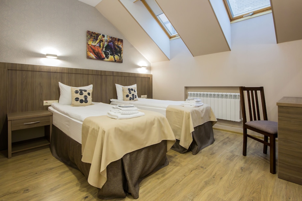 Business Double or Twin Room photo 1