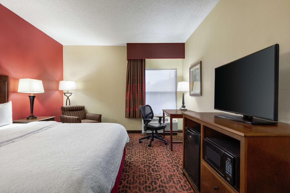 Room, 1 King Bed, Accessible, Non Smoking - Photo 4