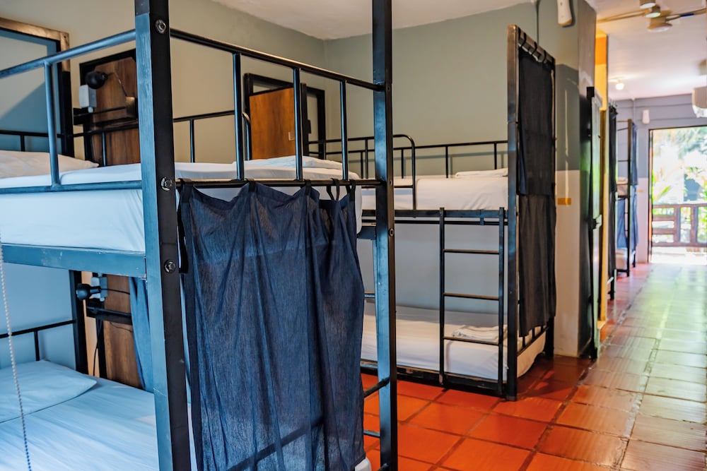 Bed in 8-Bed Small Dormitory photo 1