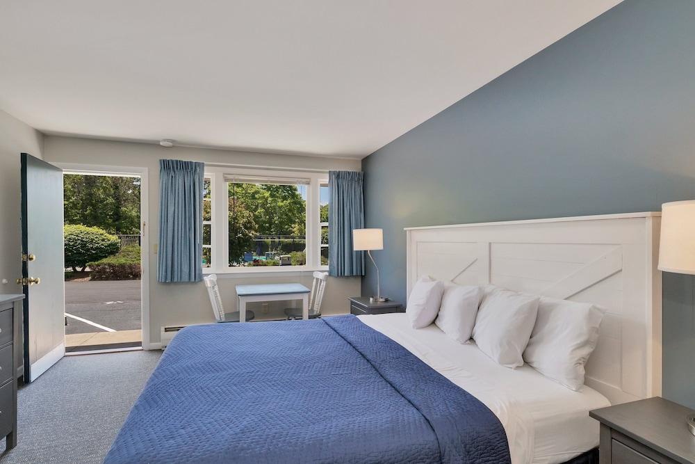 Basic Room, 1 King Bed