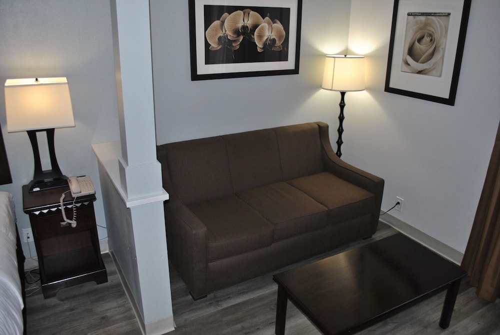 Suite, 1 King Bed, Non Smoking, Refrigerator & Microwave (Larger Room;with Sofabed) - Photo 10