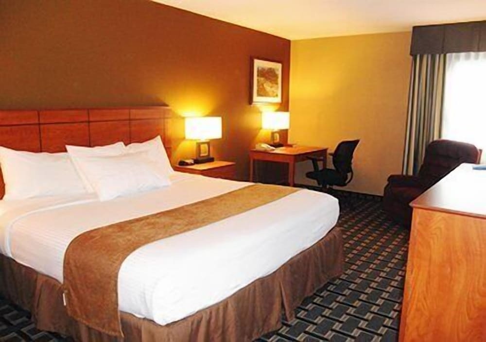 Standard Room, 1 King Bed, Non Smoking photo 1