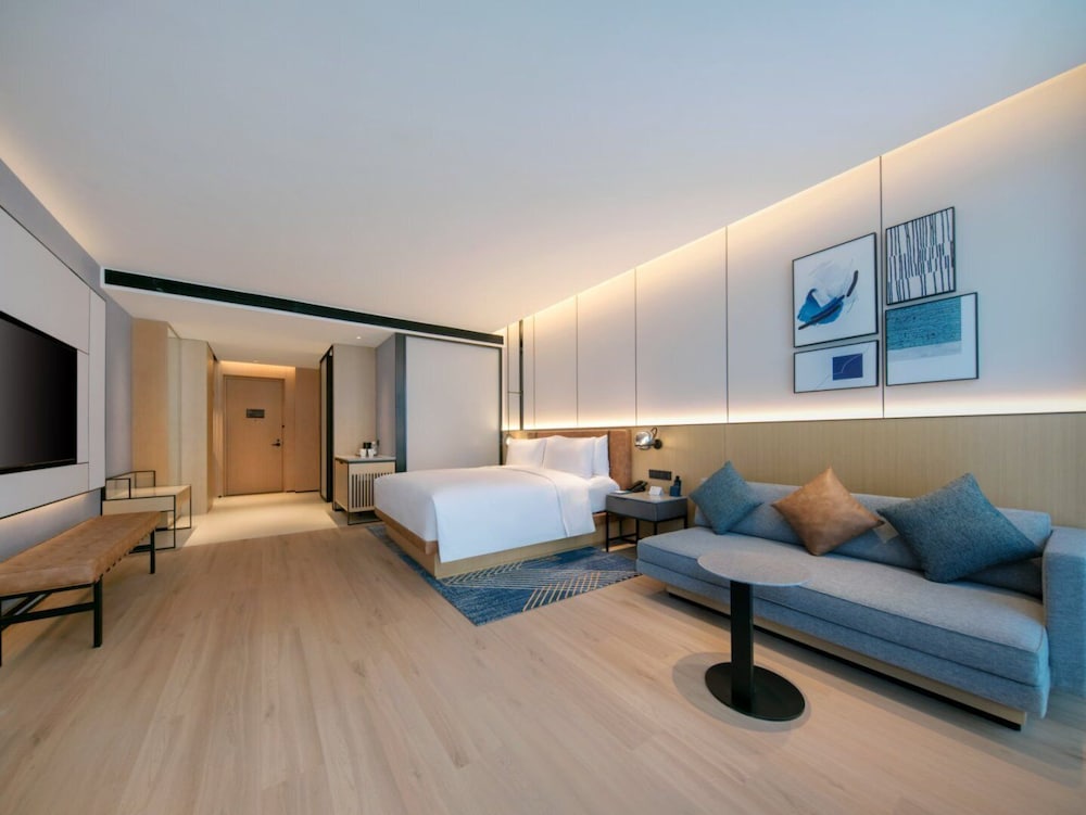 Room, 1 King Bed with Sofa bed, City View photo 3