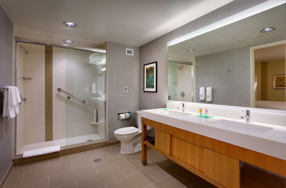 Suite, 1 King Bed with Sofa bed