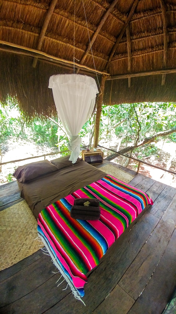 Tree House photo 1