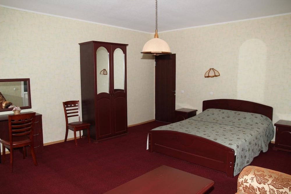 Economy Studio, 1 King Bed With Sofa Bed, Mountain View photo 1