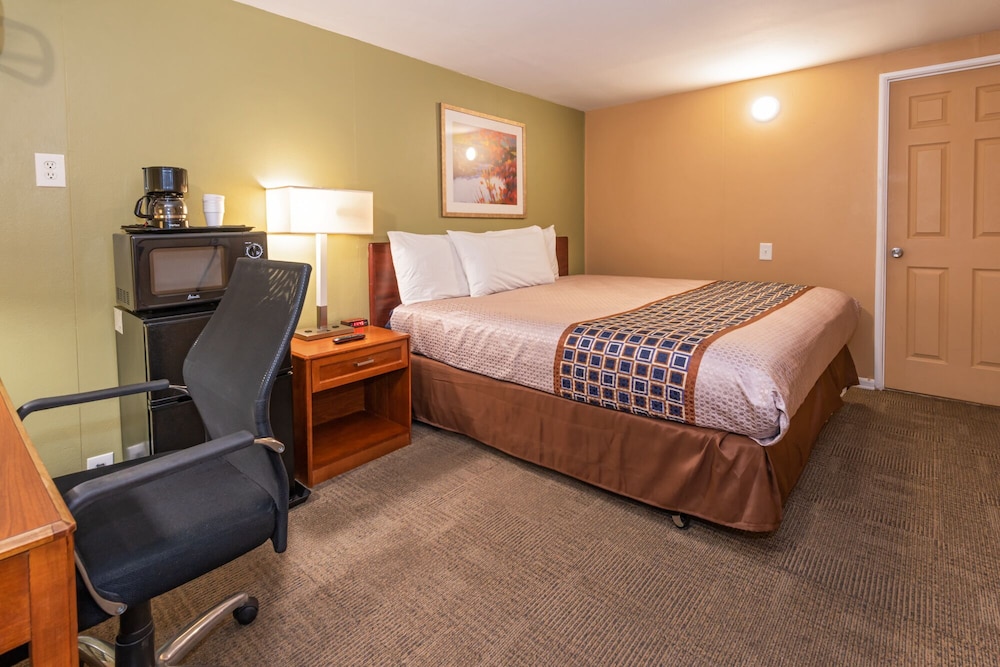 Single Room, 1 King Bed photo 1