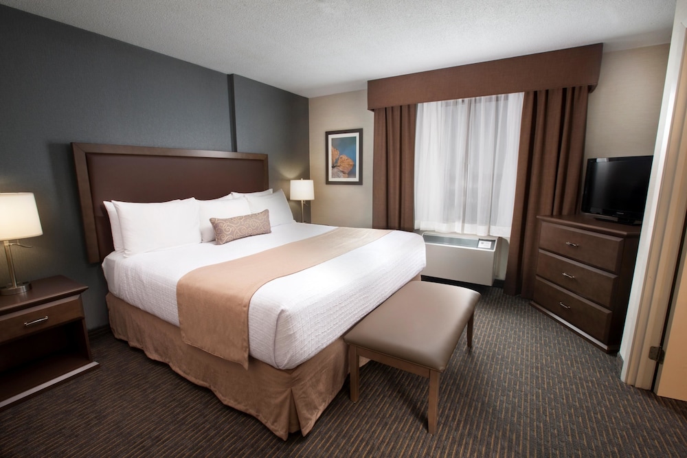 Suite, 1 King Bed, Non Smoking, Jetted Tub (Living Room;with Sofabed) photo 3