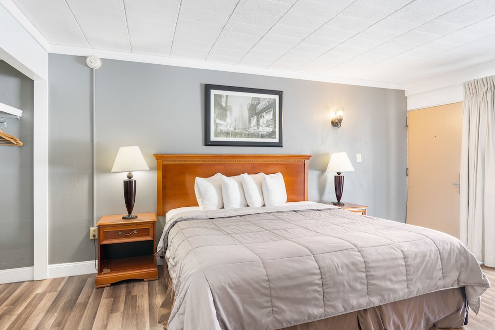 Premium Single Room, 1 King Bed, Non Smoking photo 3