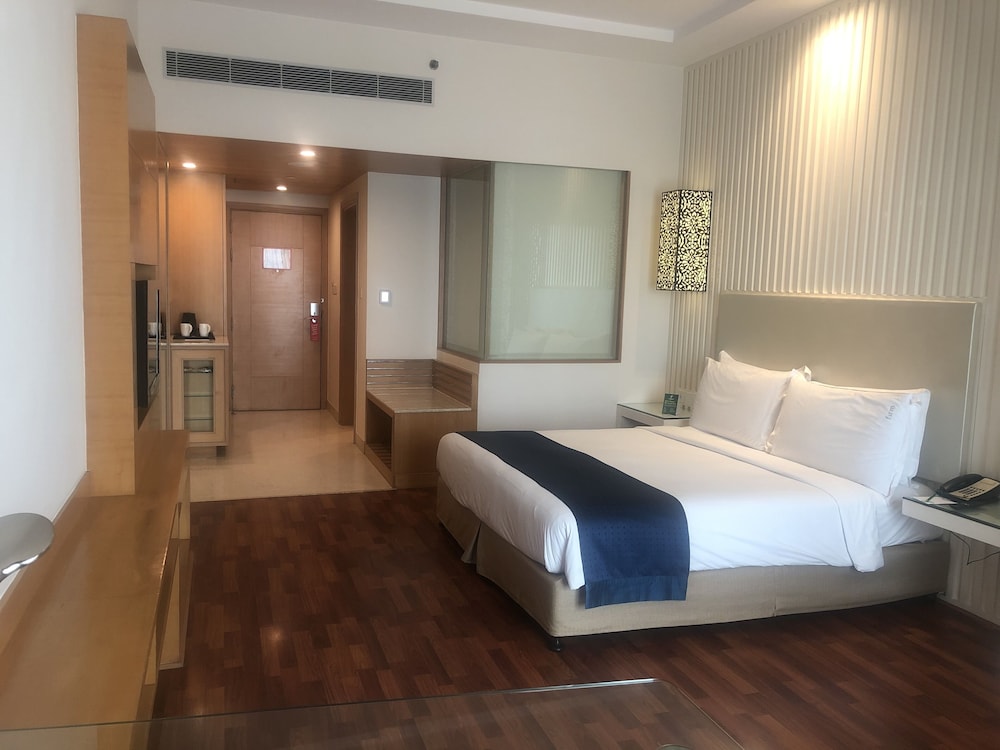 Premium Room, 1 King Bed, Smoking photo 2
