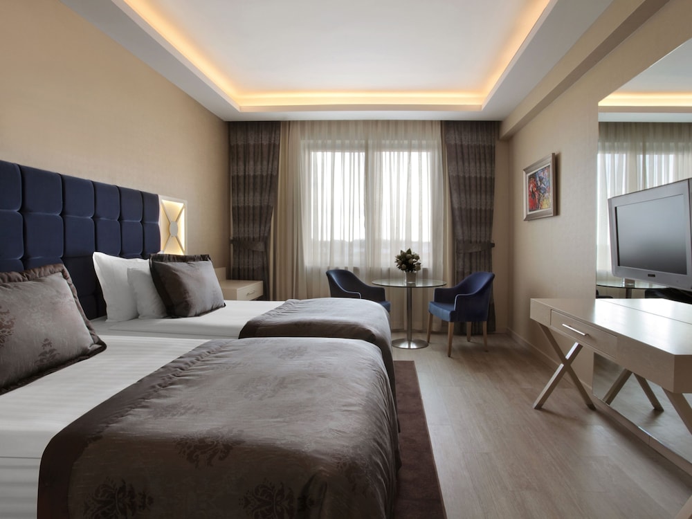 Executive Room photo 1