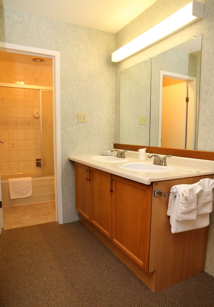 Executive Double Room, Multiple Beds photo 2