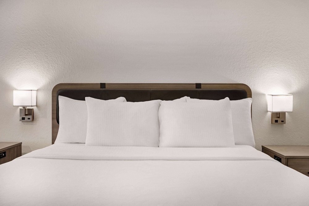 Deluxe Studio Suite, 1 King Bed, Non Smoking photo 3