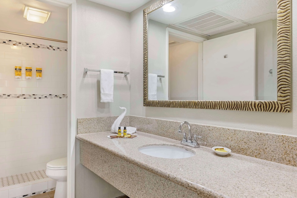 Suite, Multiple Beds, Non Smoking, Kitchen (with Sofabed, Full Kitchen) - Photo 4