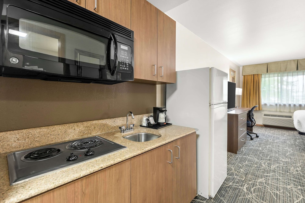 Standard Room, 1 King Bed, Non Smoking, Refrigerator & Microwave photo 1