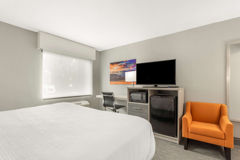 Standard Room, 1 King Bed, Accessible, Refrigerator & Microwave - Photo 1